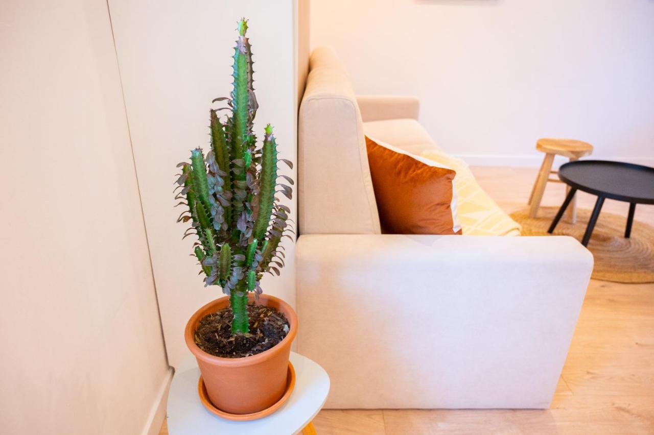 Appartement Cocooning Proche Mer Carqueiranne Luaran gambar