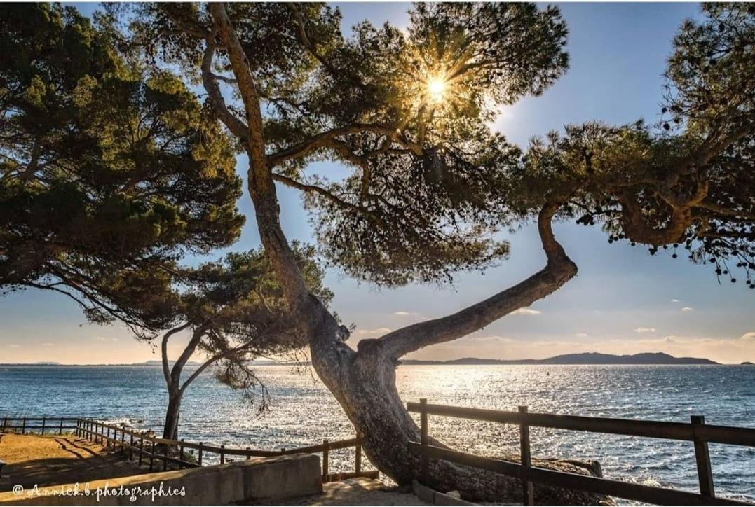 Appartement Cocooning Proche Mer Carqueiranne Luaran gambar